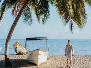 {{brizy_dc_image_alt entityId=