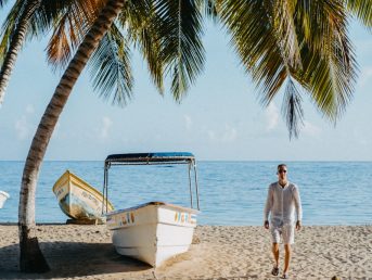 {{brizy_dc_image_alt entityId=